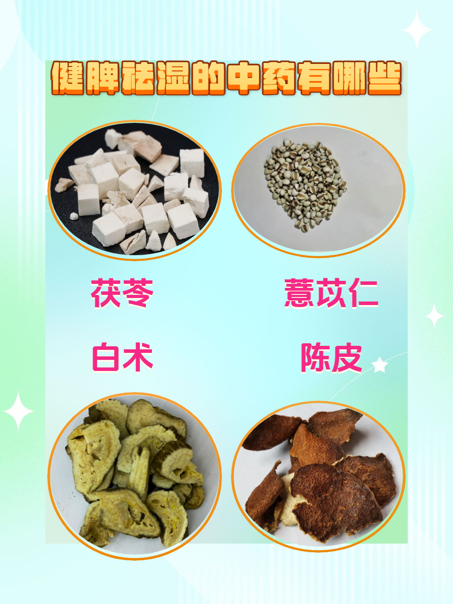 傳承岐黃智慧 助力科學(xué)減重